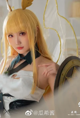 FGO Valkyrie Slud@guaxijiang(9 foto)