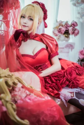 Fate/Extra Nero Claudius Rose Dress.ver cn: Gulungan besar dan gulungan kecil (12 gambar)