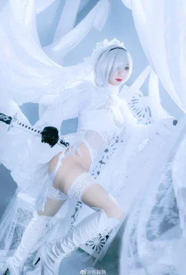 Nier: Automata 2b Fan Hua Marry @jizhili (9 foto)