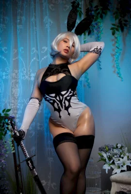 Maya Geisha Cosplay 2B Hiroha No. 2 Jenis B Bunny (55 Gambar)